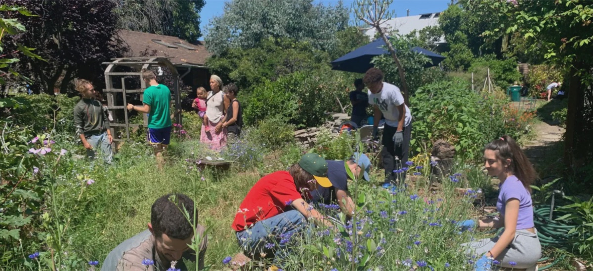 Volunteers of many ages and backgrounds tending flowering garden beds together at Canticle Farm in Oakland